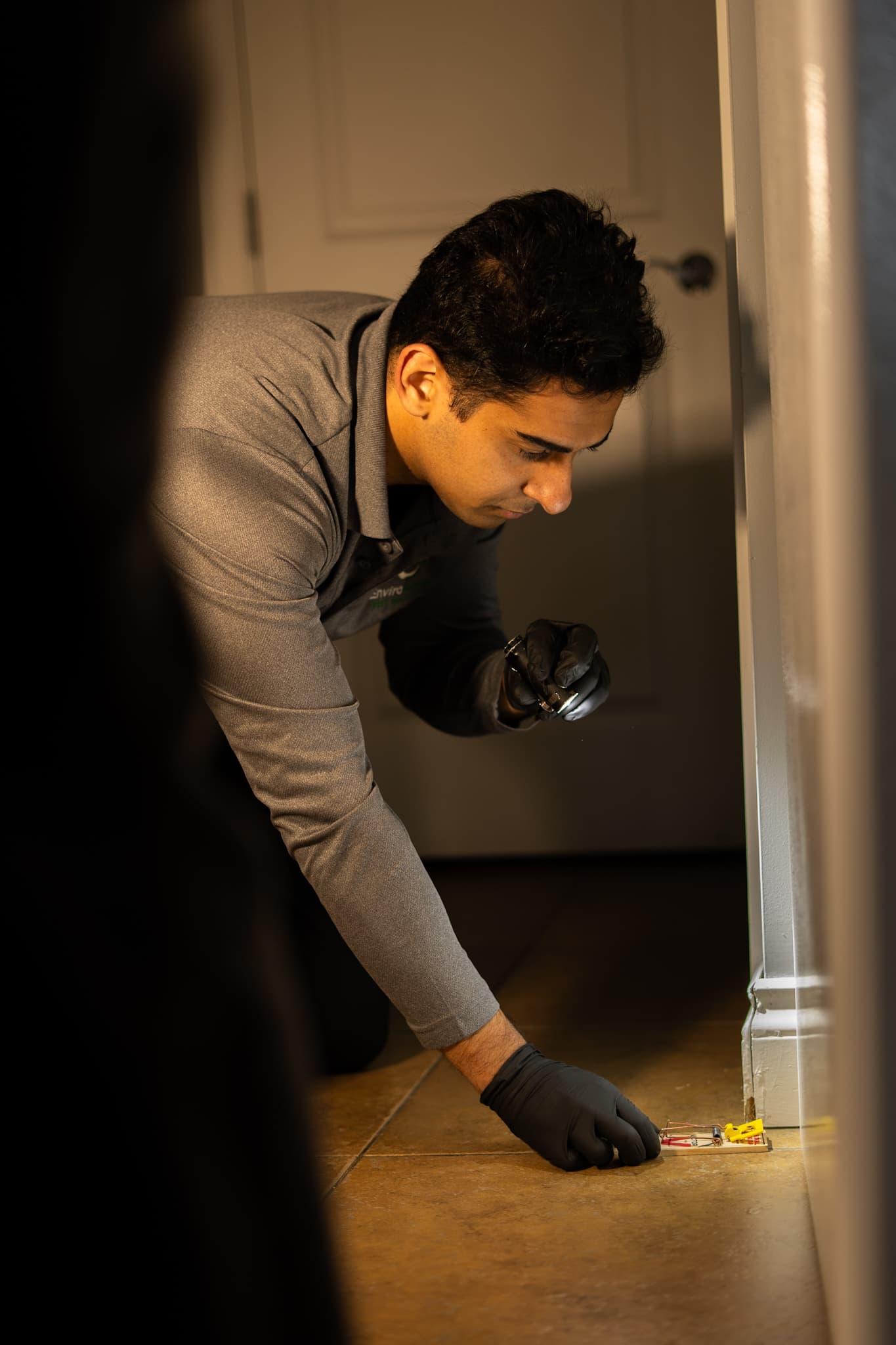 Annual Pest Control Plans