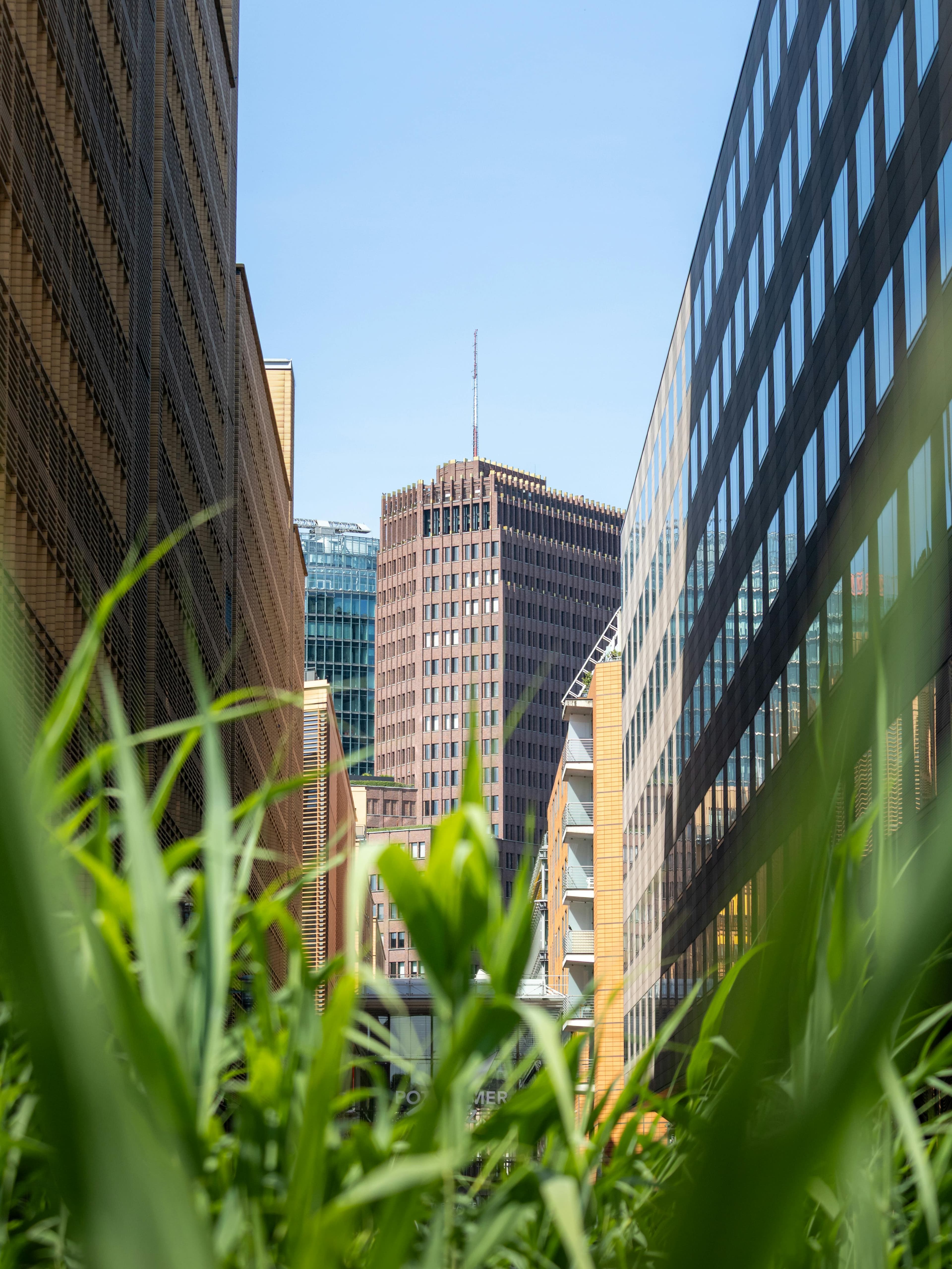 Pest control services in Burnaby, Surrey and Vancouver by EnviroGreen