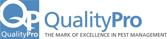 Quality Pro Certificate
